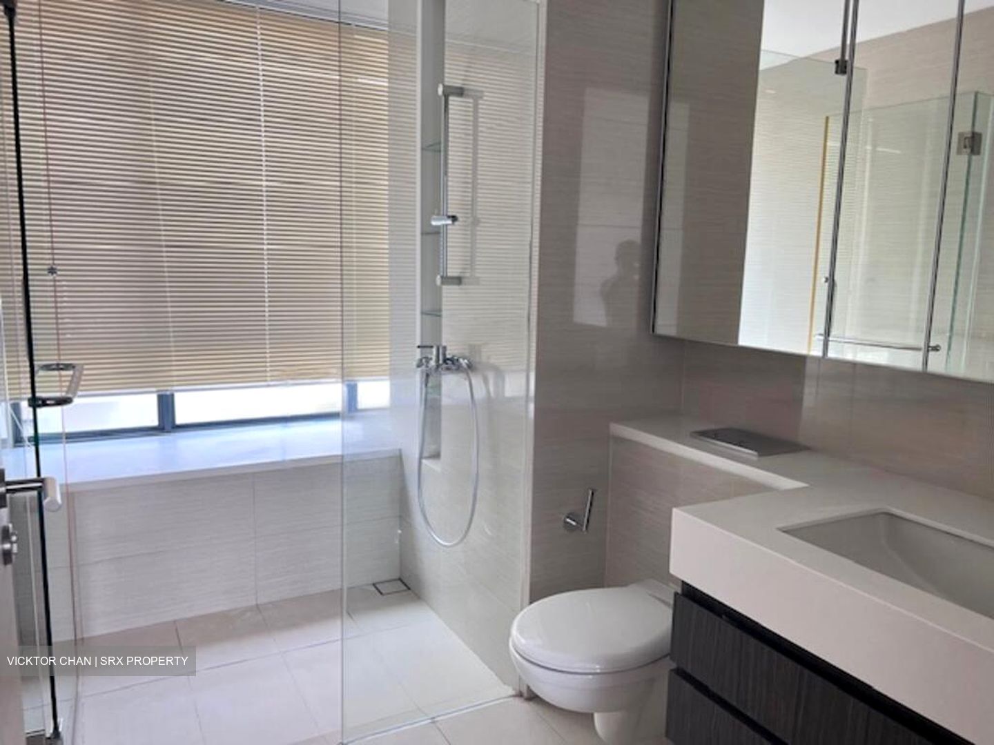 The Palette (D18), Condominium #501942161